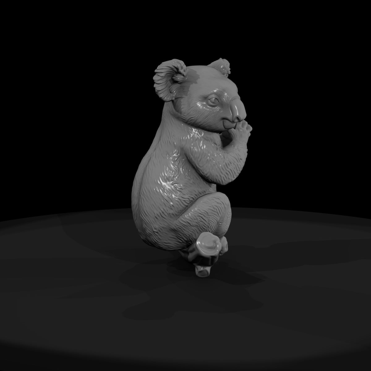 ant-266-koala-female