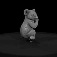 ant-266-koala-female — thumbnail 2