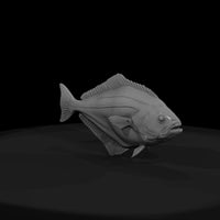 halibut-flatfish-miniature-for-dioramas-displays-346343 — thumbnail 3