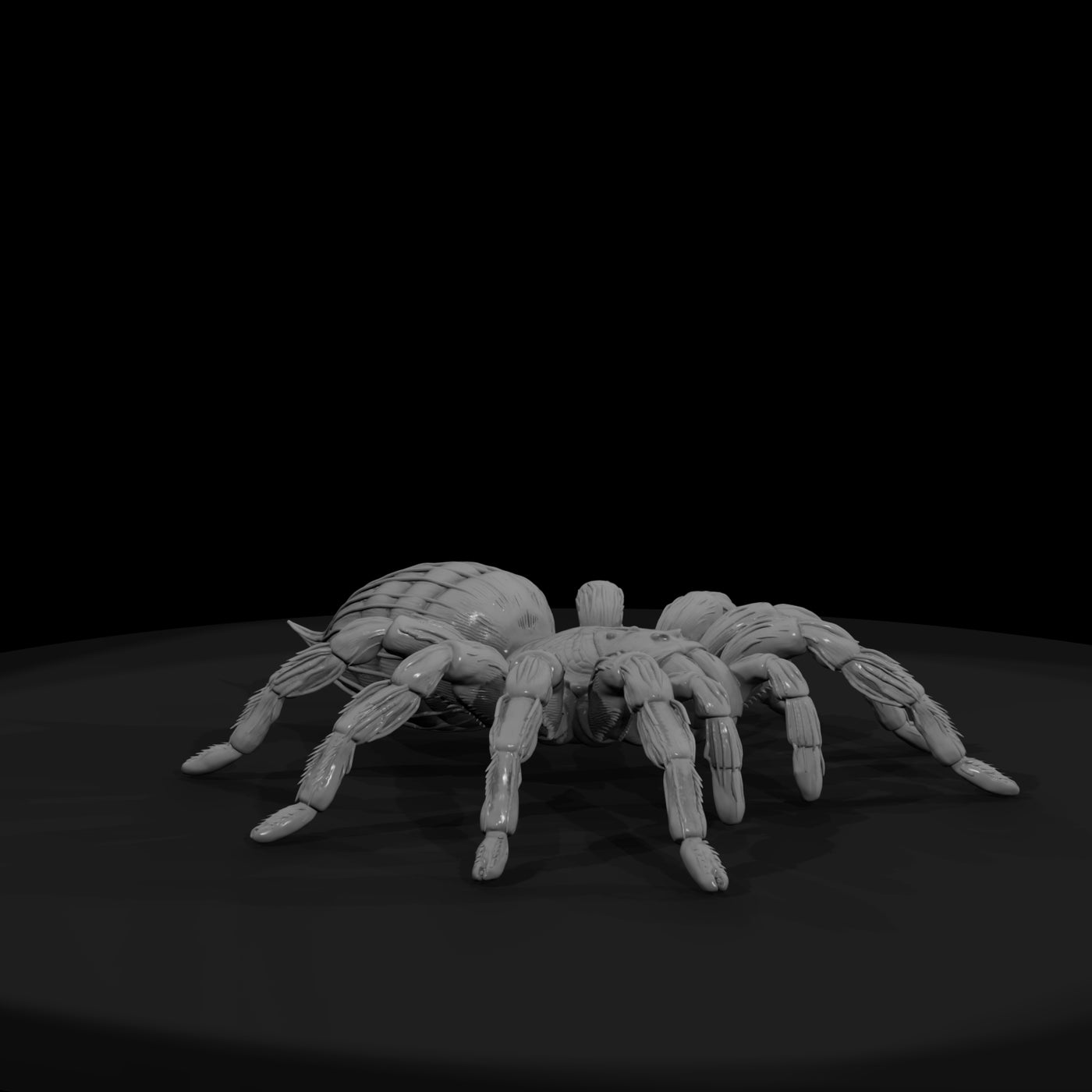 ww-0339-animal-tarantula