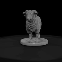 anim-20-sheep-666c93 — thumbnail 2