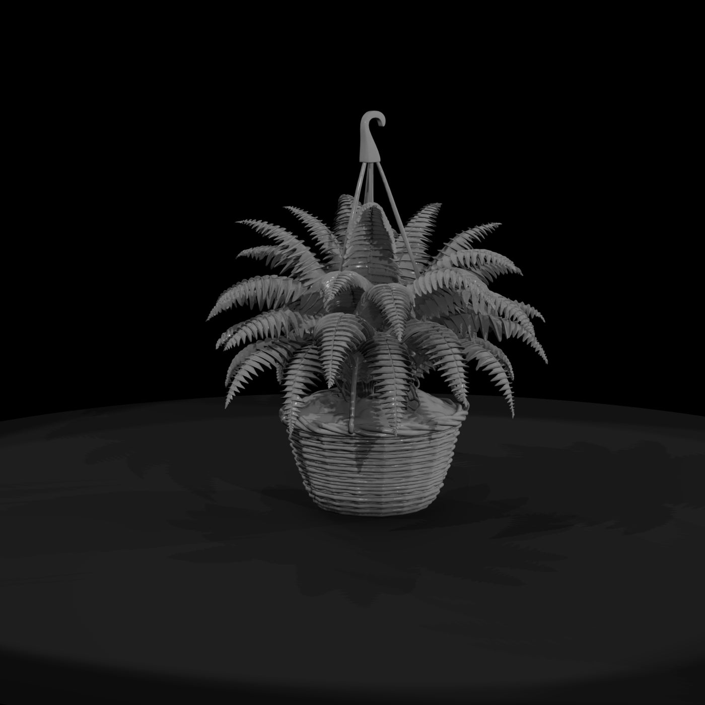 stylized-monochrome-hanging-fern-basket-3d-model-q
