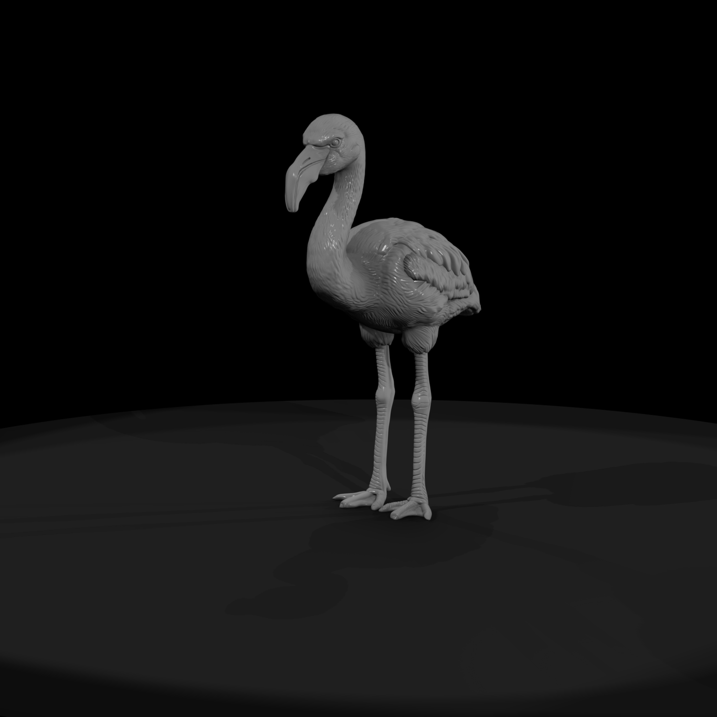 Greater Flamingo Wading Bird
