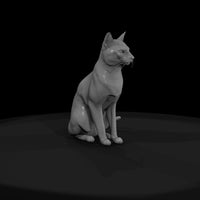 a-collection-of-housecats-russian-64ae224e-meshref — thumbnail 2