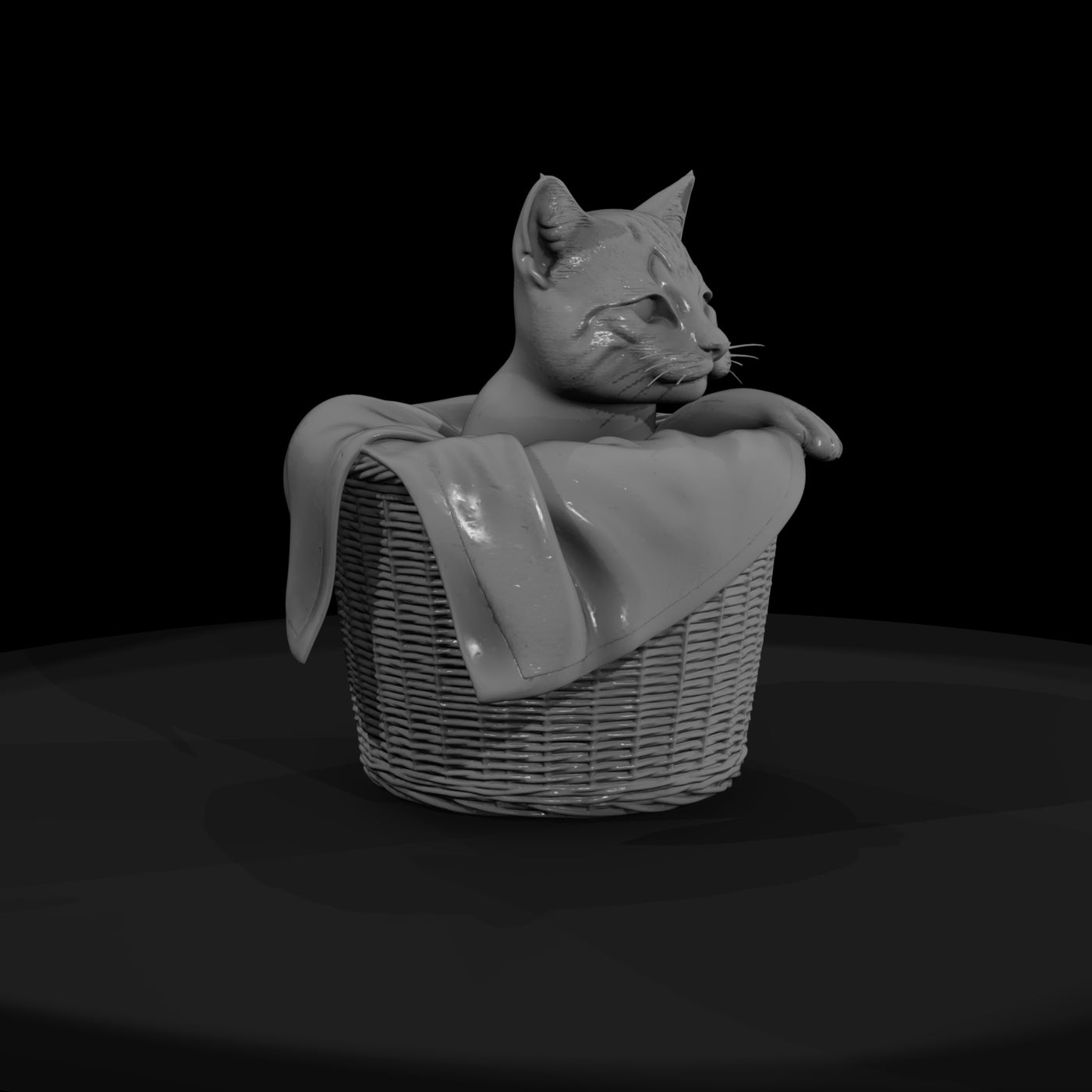 a-collection-of-housecats-curious-262ed8b6-meshref