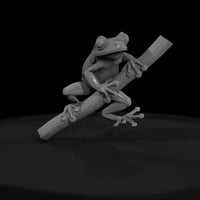 stylized_3d_tree_frog_on_branch_chjuomkt — thumbnail 2
