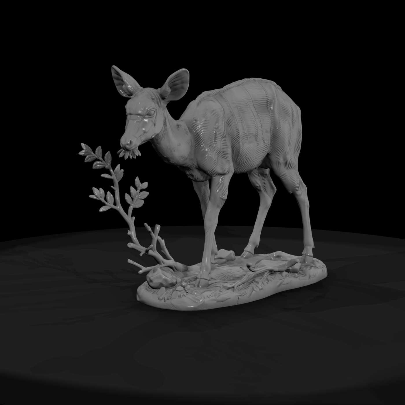Ant 245 Nyala Female