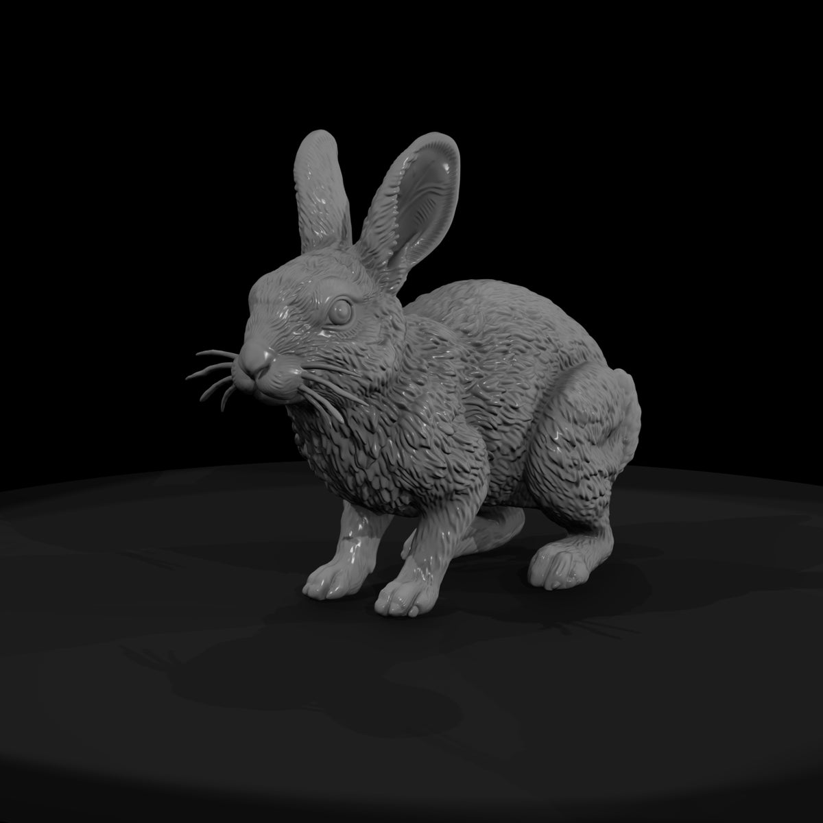 ww-0323-animal-desert-cottontail