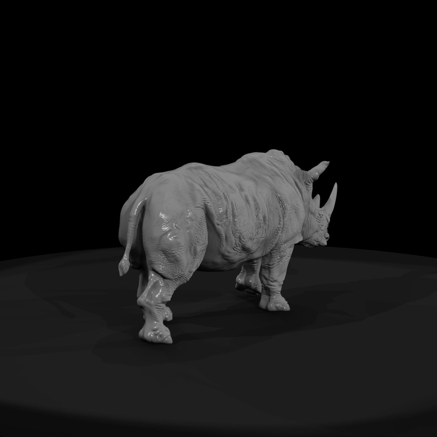ant-032-white-rhinoceros-female