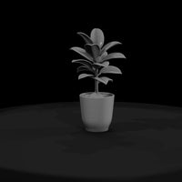untextured-potted-rubber-plant-3d-model-gkku0lue — thumbnail 2