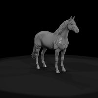 bay-horse — thumbnail 4