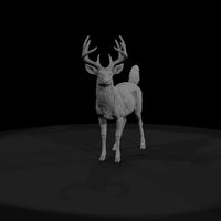ant-070-white-tailed-deer-male — thumbnail 2