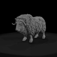 ant-272-musk-ox-female — thumbnail 2