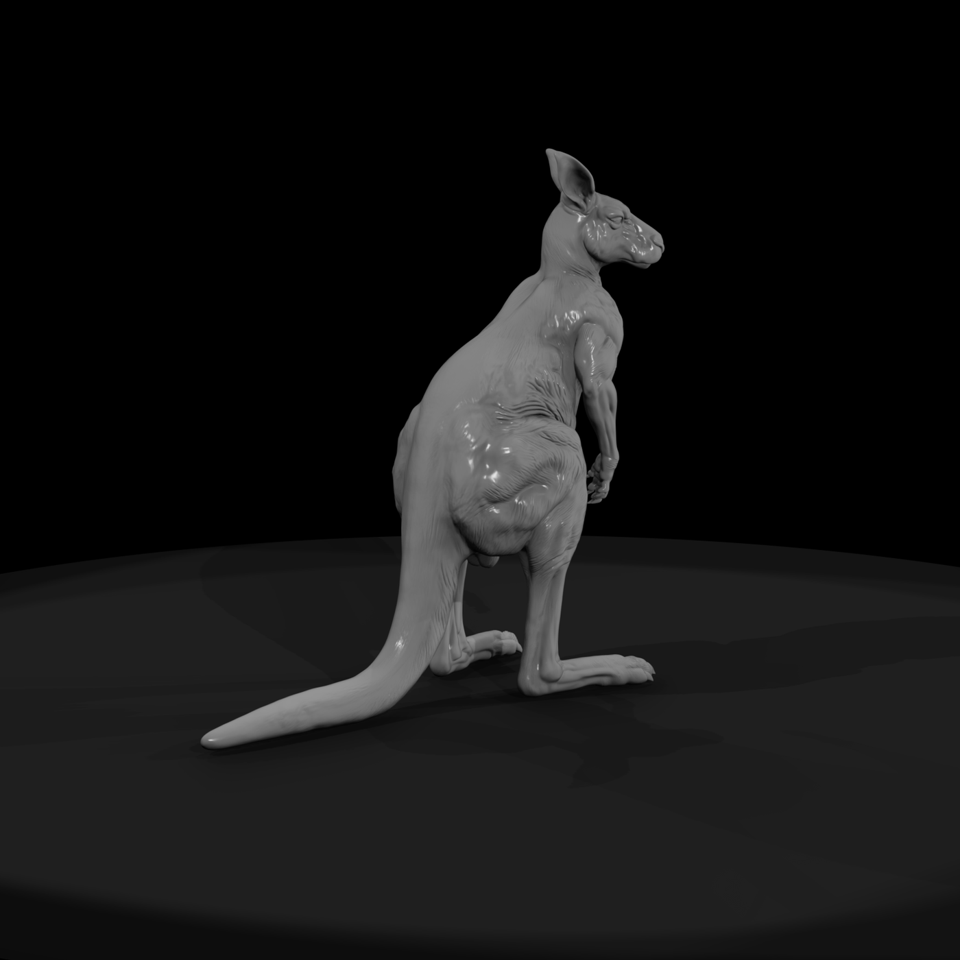 Ant 079 Red Kangaroo Male