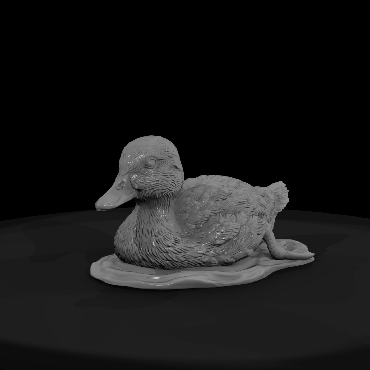 ant-090-mallard-adolescent