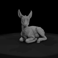 ant-054-pronghorn-adolescent — thumbnail 2