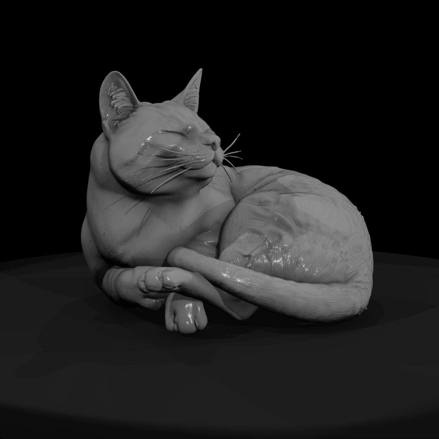 a-collection-of-housecats-sleeping-0cc2f1c3-meshre