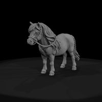 cir-132-animal-miniature-pony — thumbnail 2