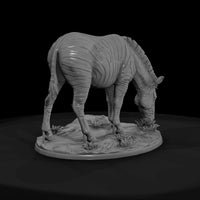 ant-029-plains-zebra-female — thumbnail 2
