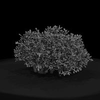 low-poly-dense-garden-shrub-ho-scale-1-87-561667 — thumbnail 2