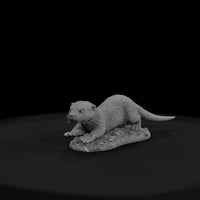 ant-183-river-otter-adolescent — thumbnail 2