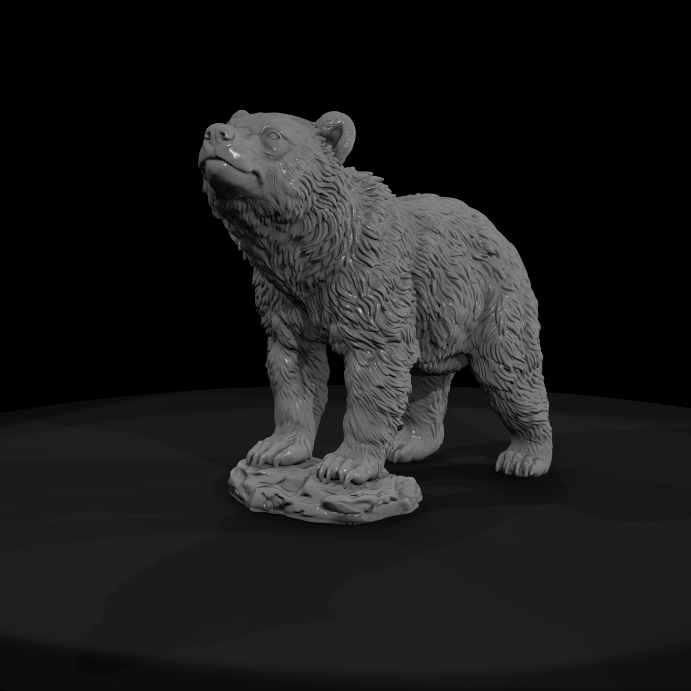 ant-021-grizzly-bear-adolescent