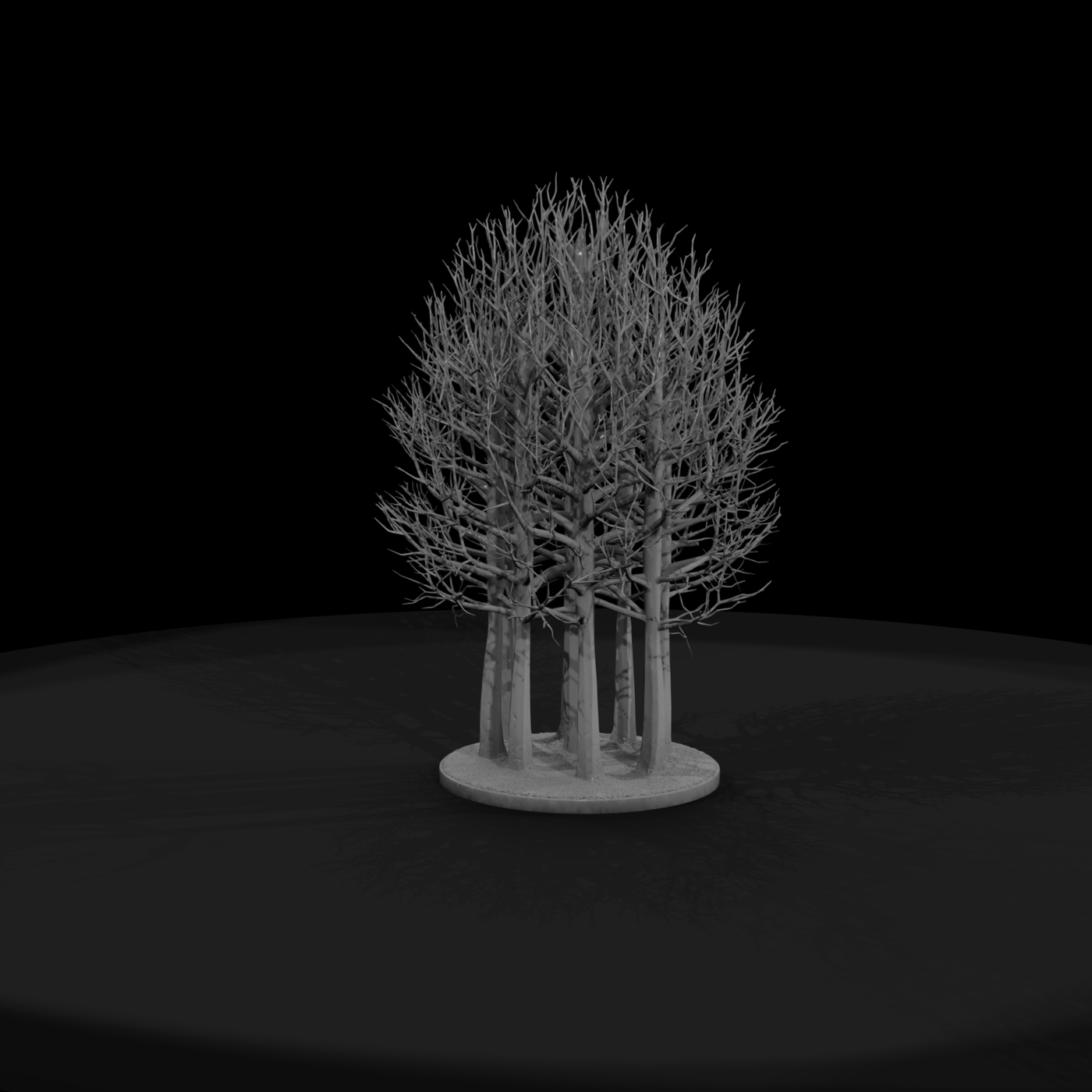 Bare Winter Tree Grove on Round Base
