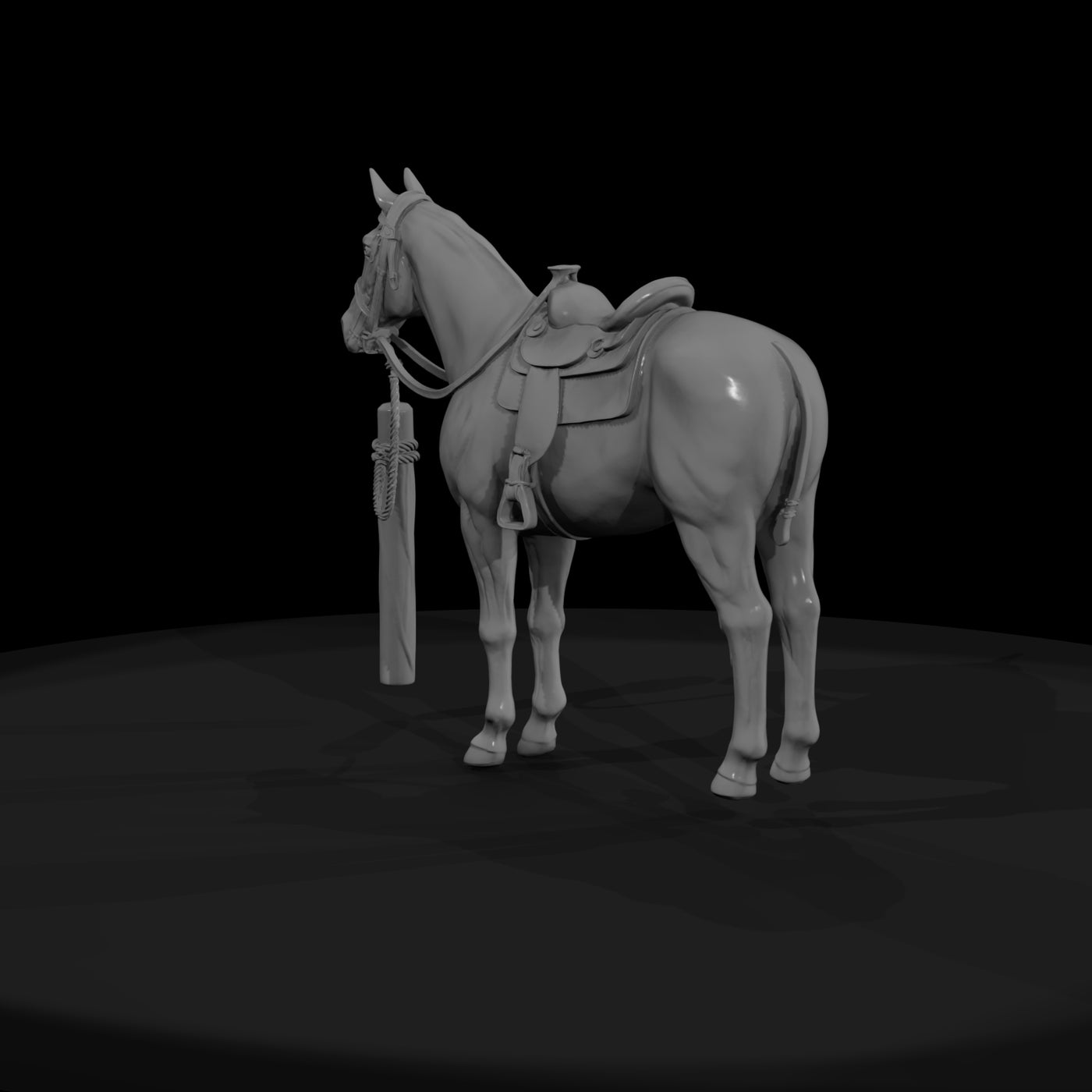 horse-white