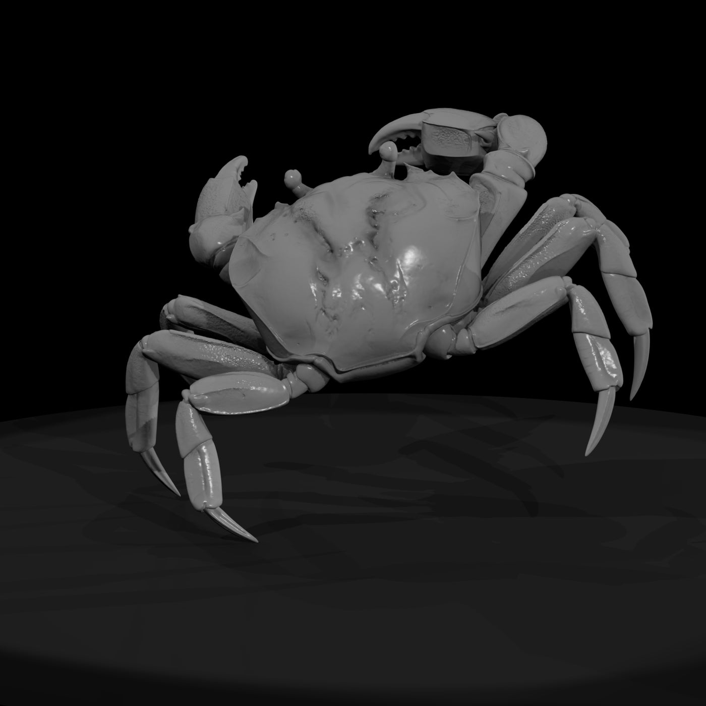 1980s-miami-beach-crab