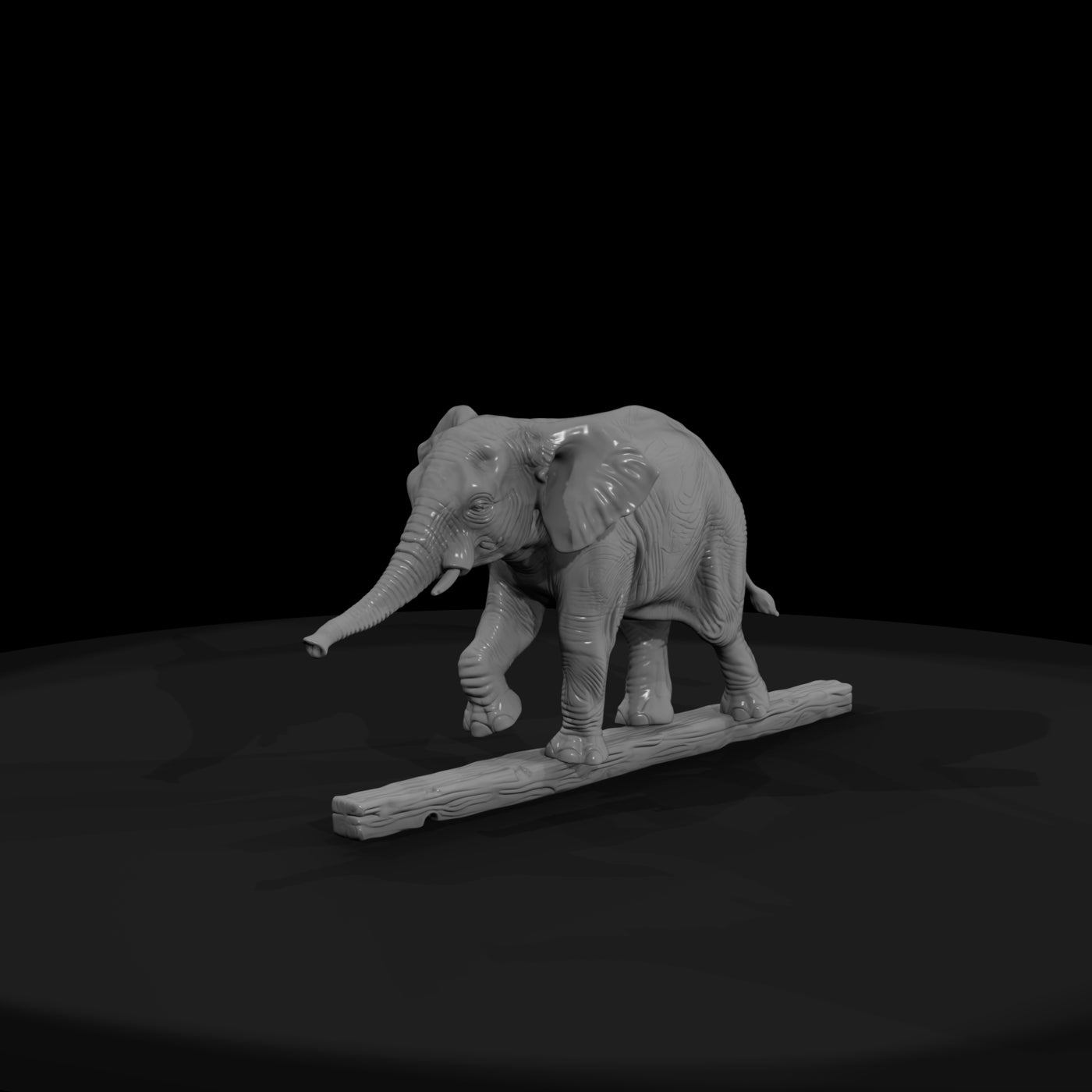 cir-135-animal-tightrope-elephant