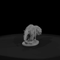 ant-260-giant-anteater-female — thumbnail 2