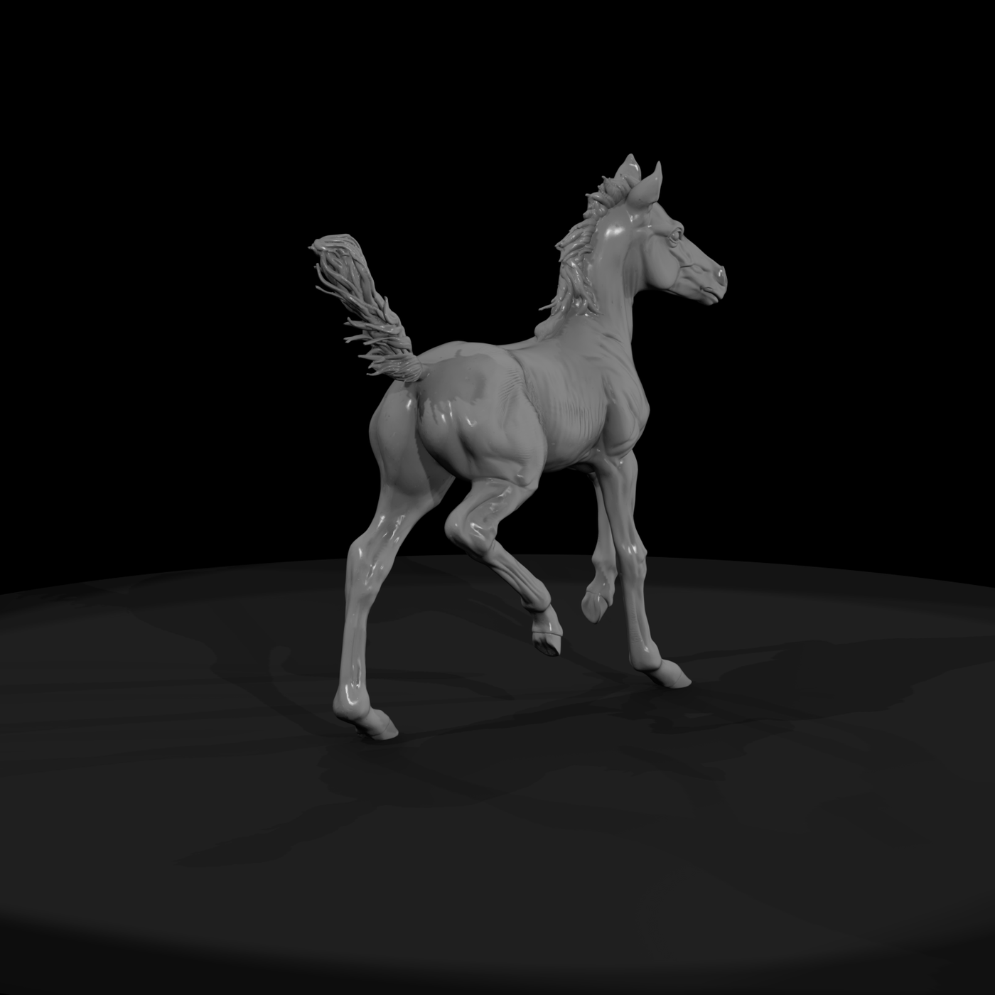 Foal