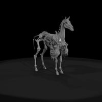 skeletal-horse-miniature-128260 — thumbnail 2