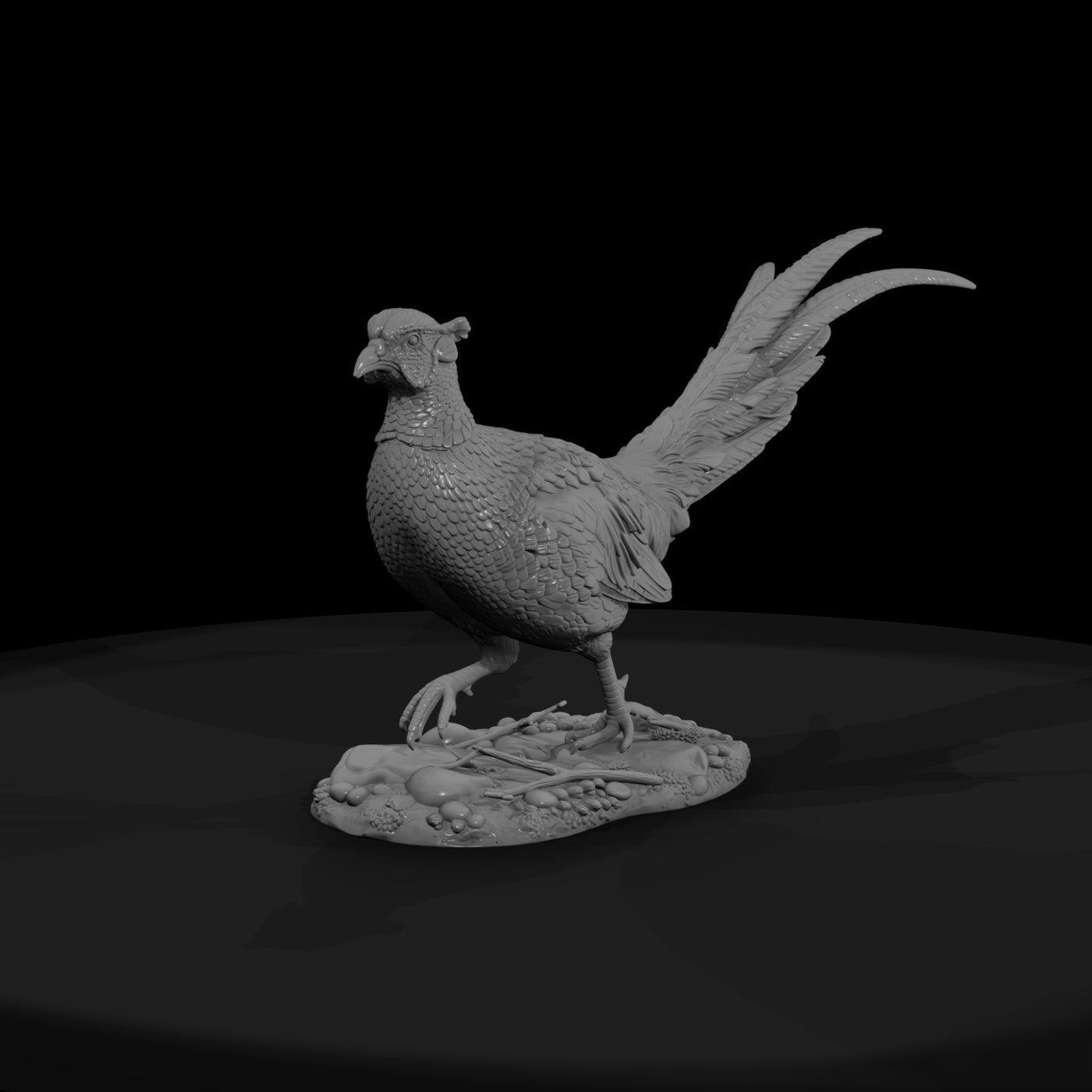 ant-097-ring-necked-pheasant-male