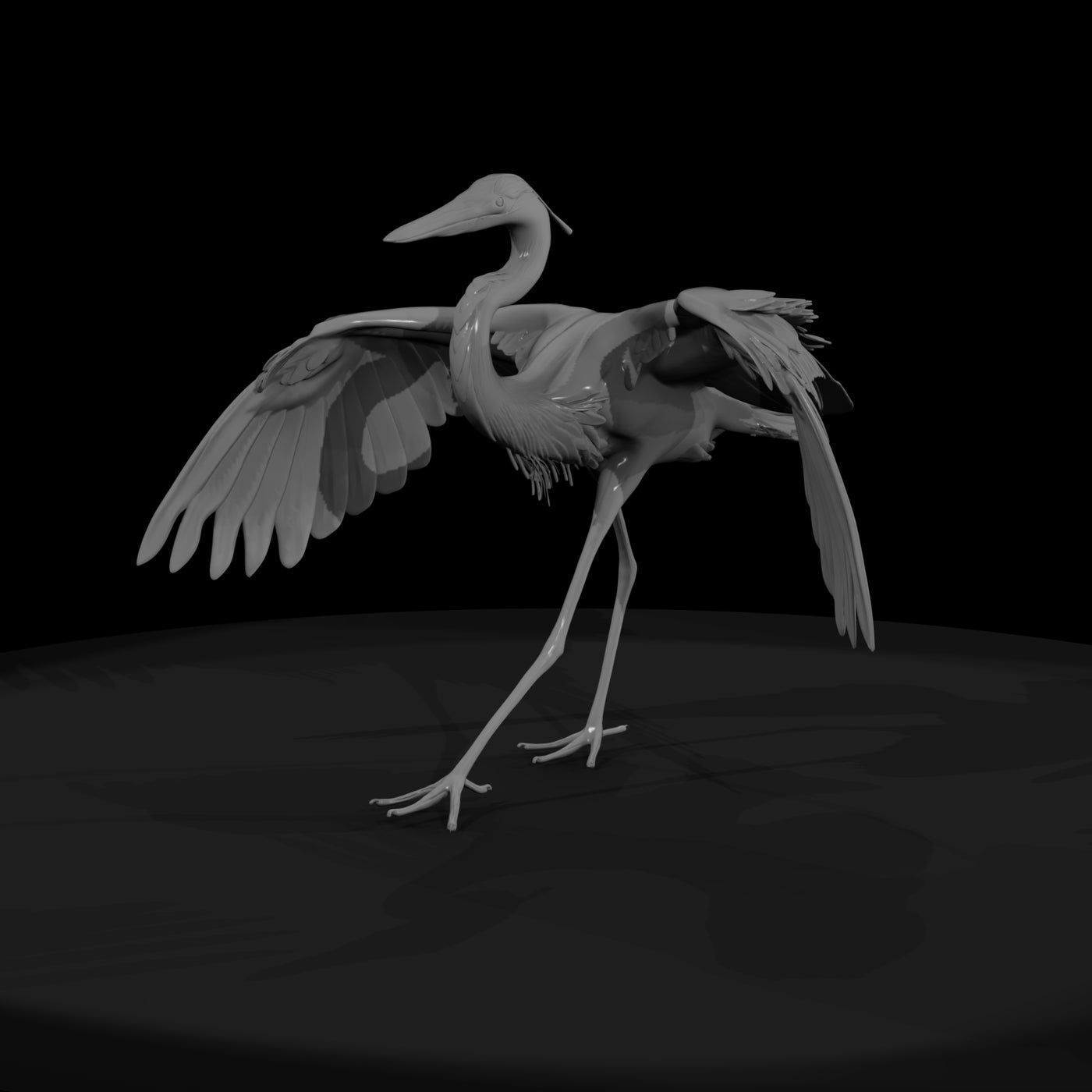 20260612-heron-spreading-wings-beach-253c412050