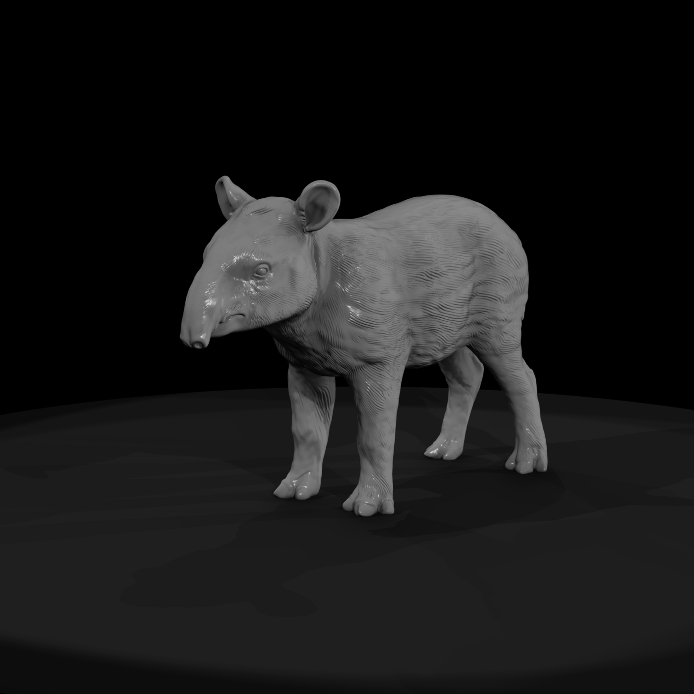 Malayan Tapir