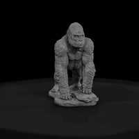 ant-037-western-gorilla-male — thumbnail 2