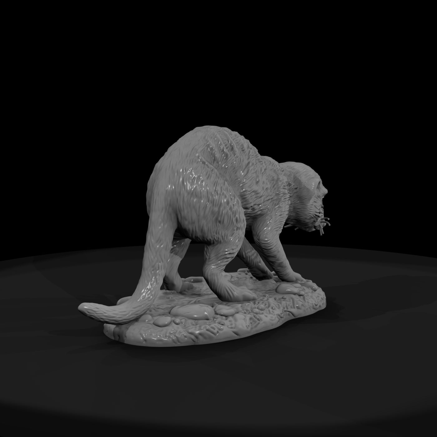 ant-191-meerkat-female