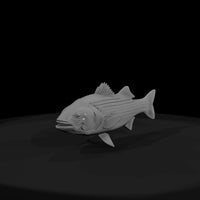 striped-bass-miniature-3d-printable-for-dioramas-model-railroads-886837 — thumbnail 3