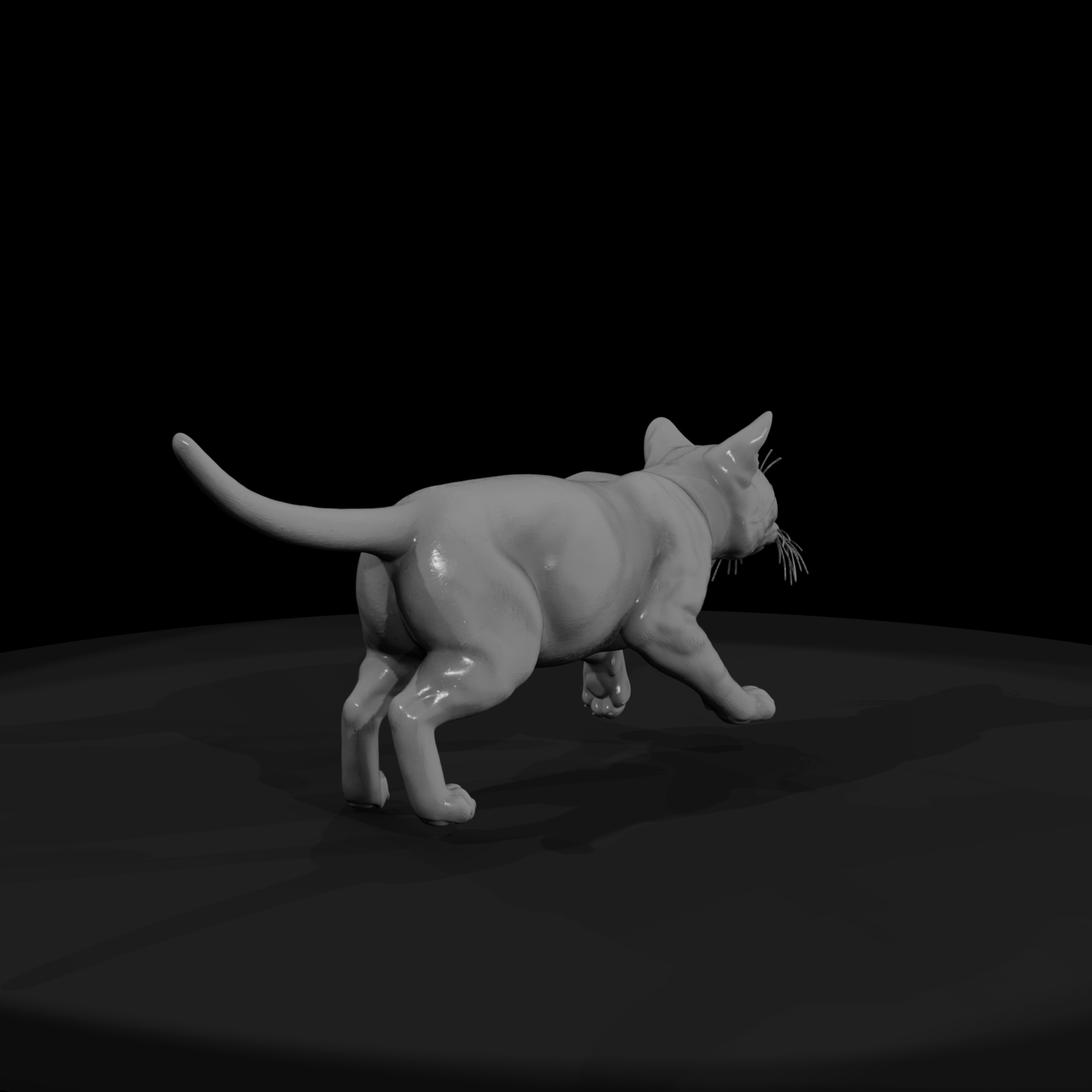 Ocicat Housecat Set