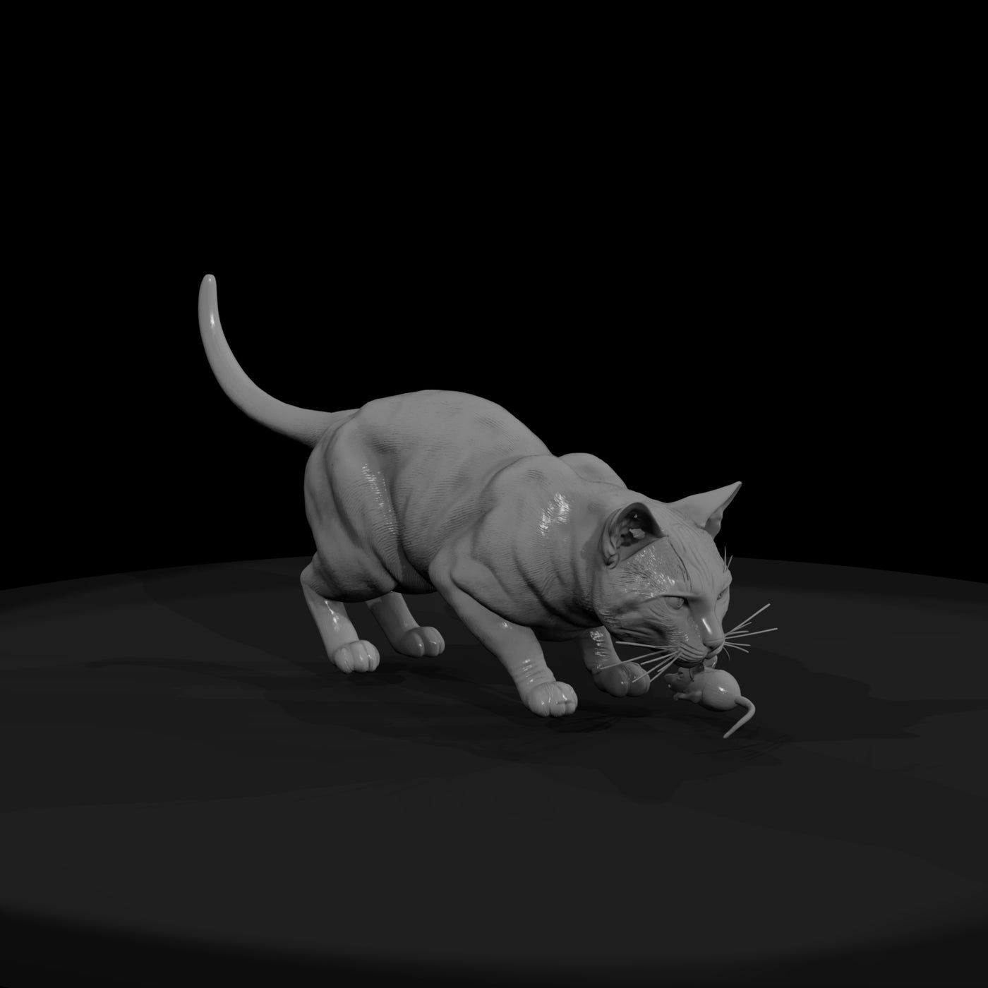a-collection-of-housecats-bengal-82b24b8e-meshref
