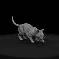 a-collection-of-housecats-bengal-82b24b8e-meshref — thumbnail 2