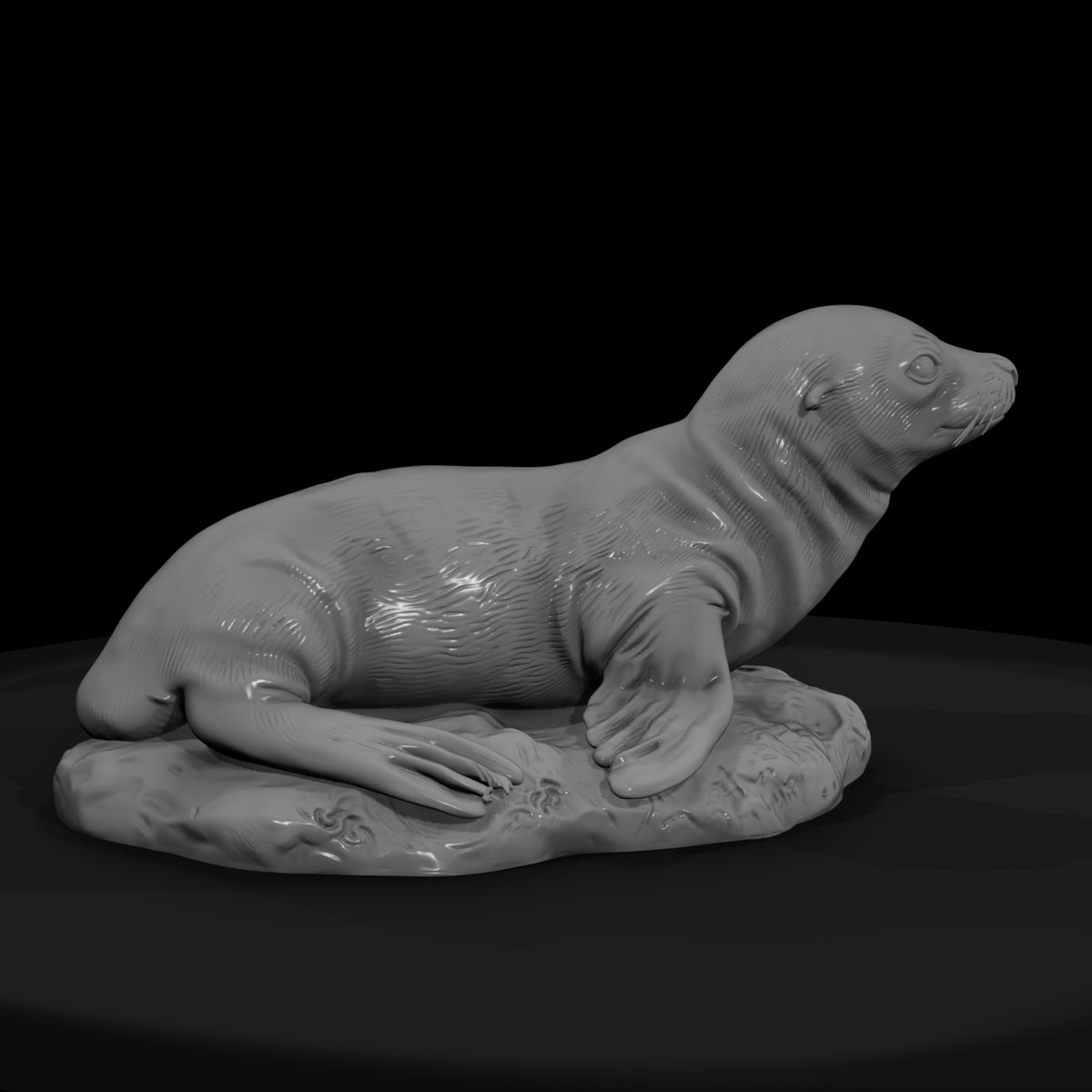 ant-141-sea-lion-adolescent