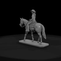 horse-09-teen-western-pleasure-09116b — thumbnail 3