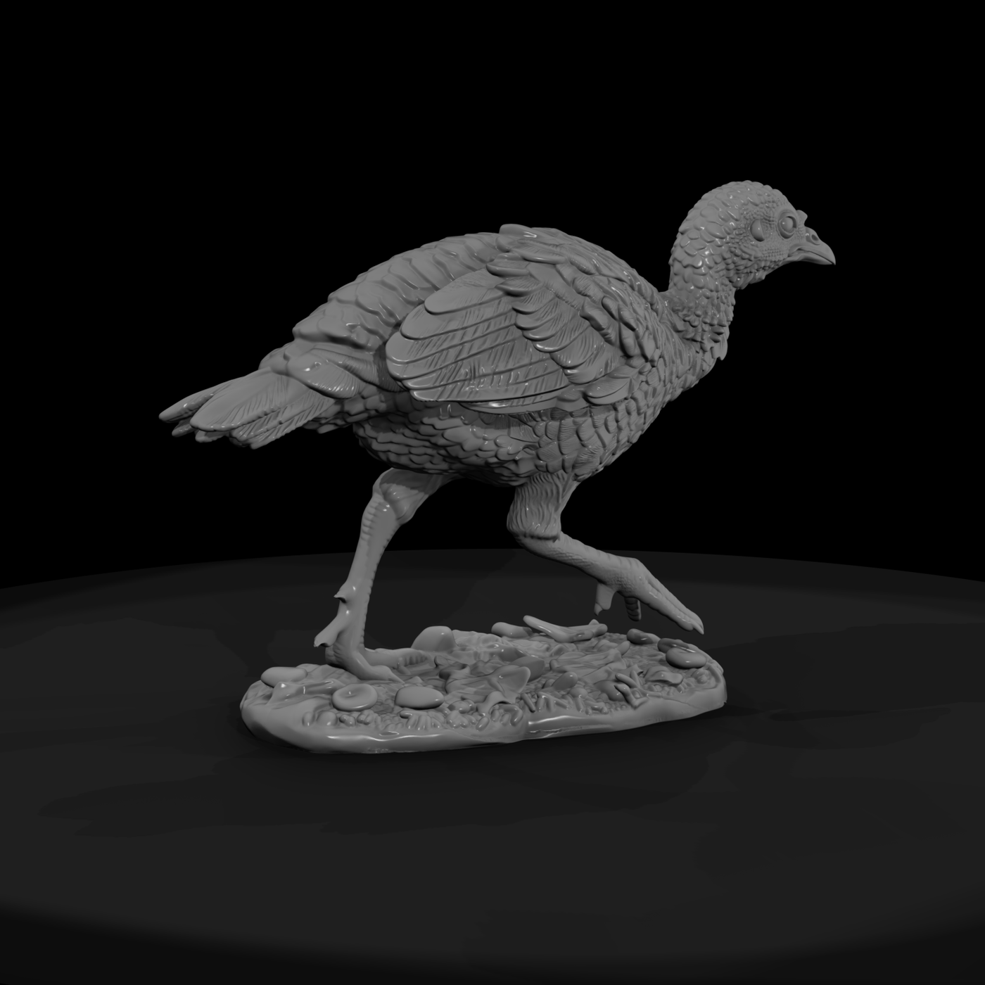 Ant 102 Wild Turkey Adolescent