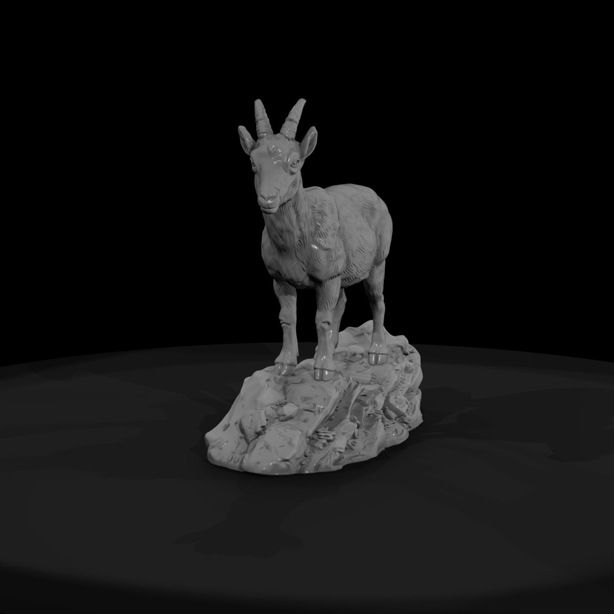 ant-278-alpine-ibex-female