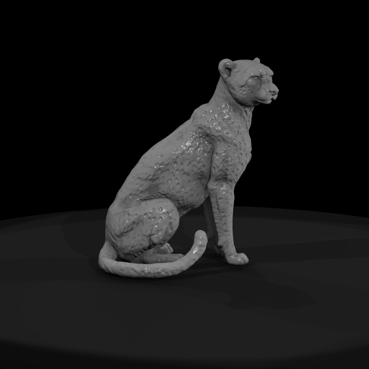 ant-011-cheetah-female