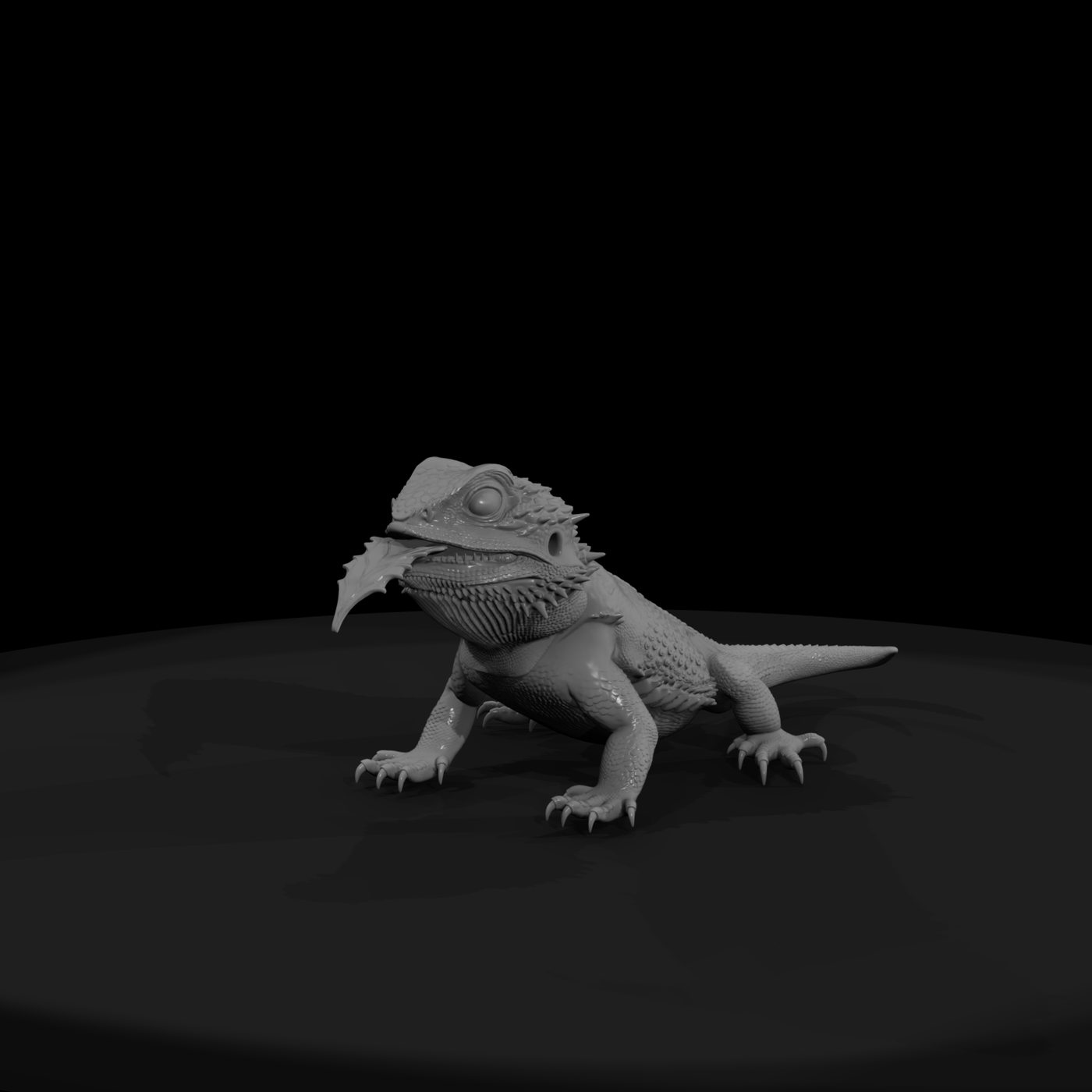 Bearded Dragon