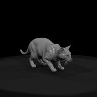 a-collection-of-housecats-toyger-26f16d31-meshref — thumbnail 2