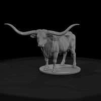 ww-0294-animal-texas-longhorn-steer — thumbnail 2